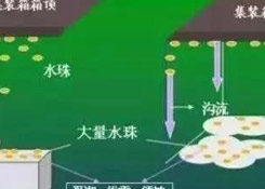 集裝箱里進(jìn)水，誰(shuí)的錯(cuò)？如何預(yù)防應(yīng)對(duì)？