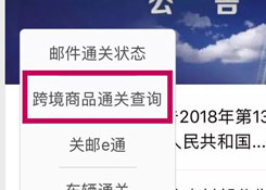 聽說，城市服務(wù)里上線了您的跨境電商額度“保衛(wèi)者”