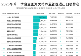 2025年第一季度全國綜合保稅區(qū)(海關(guān)特殊監(jiān)管區(qū))進(jìn)出口額排名榜單