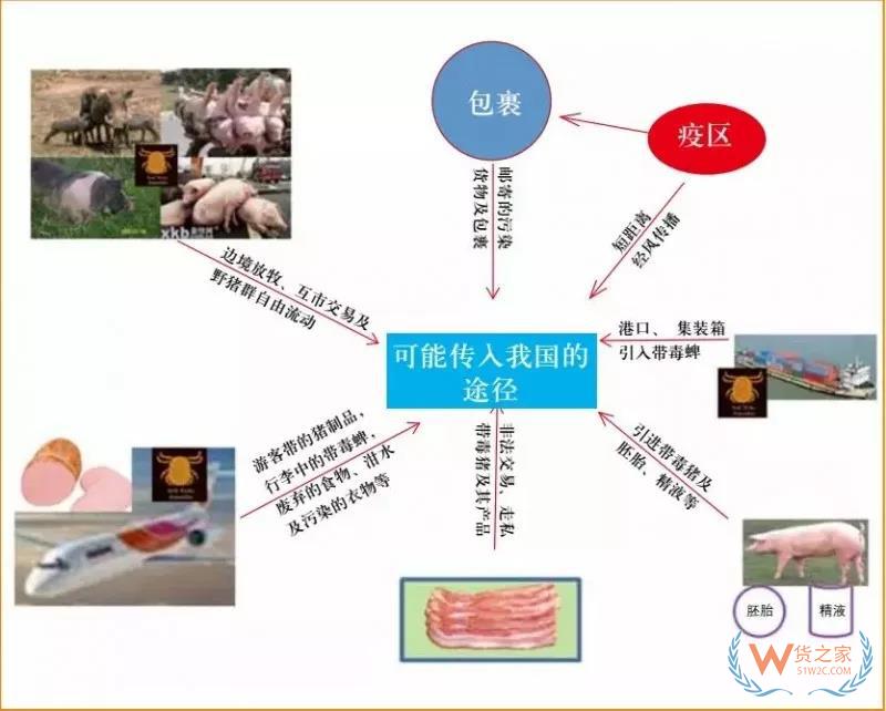 非洲豬瘟防控，你需要知道的在這里！貨之家