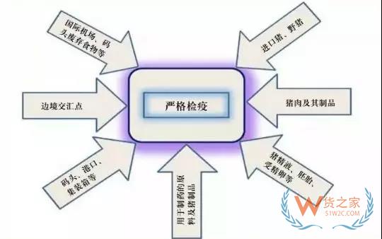 非洲豬瘟防控，你需要知道的在這里！貨之家