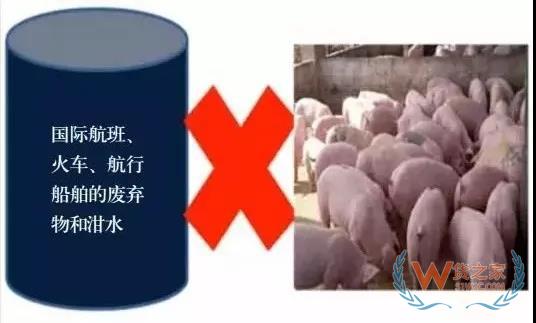 非洲豬瘟防控，你需要知道的在這里！貨之家