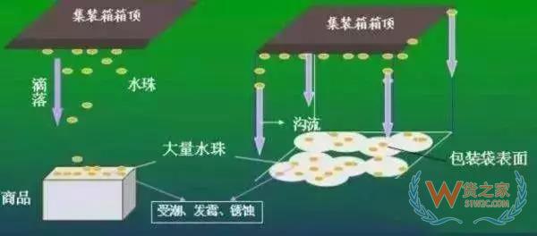 集裝箱里進(jìn)水，誰的錯(cuò)？如何預(yù)防應(yīng)對(duì)？貨之家